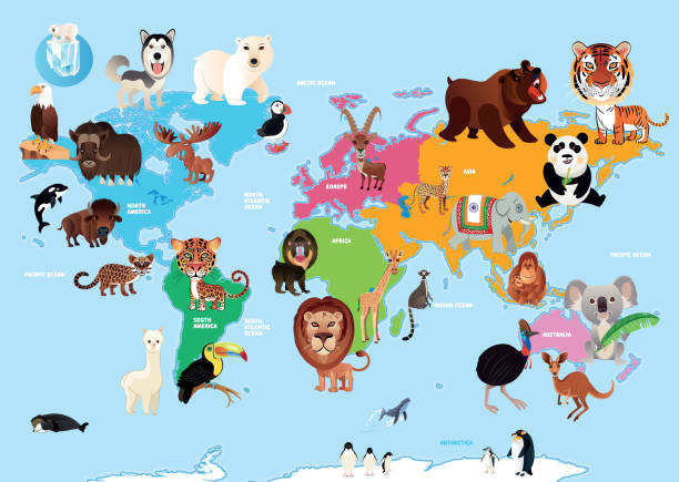 ilustrações, clipart, desenhos animados e ícones de animais do mundo - gado brasil