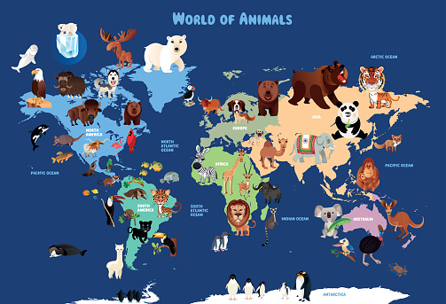 World Cartoon Map