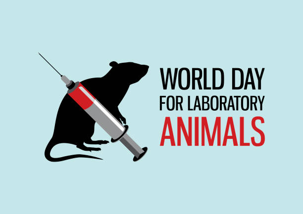 World Day for Laboratory Animals vector Laboratory rat black silhouette vector. Experimental mouse icon. Experimental animal vector. Laboratory rat with syringe vector. Stop animal testing icon. Important day laboratory silhouettes stock illustrations