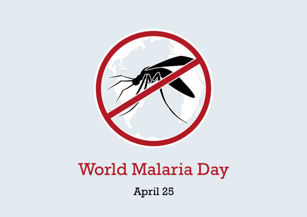 World Malaria Day vector Mosquito vector illustration. Gnat silhouette. Stop mosquitoes images. Important day malaria parasite stock illustrations
