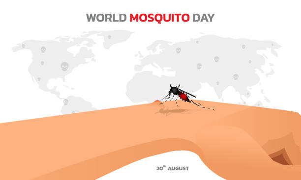 stockillustraties, clipart, cartoons en iconen met world mosquito day, malaria day. - malaria