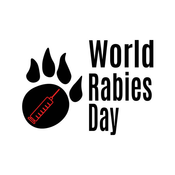 World Rabies Day, idea for banner, poster or themed flyer, animal paw print and syringe silhouette World Rabies Day, idea for banner, poster or themed flyer, animal paw print and syringe silhouette vector illustration international dog day stock illustrations