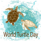 World Turtle Day 23 May background. Vector illustration