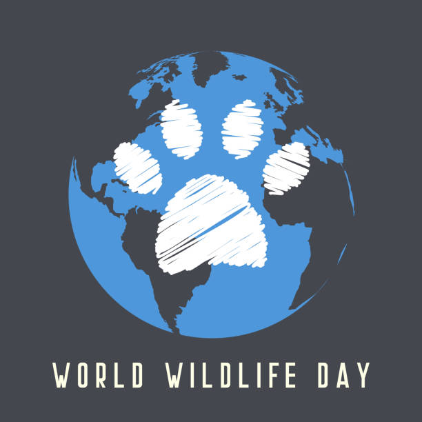 World Wildlife Day card or background. Animals track. Vector illustration for you design, card, banner, poster, calendar or placard template World Wildlife Day card or background. Animals track. Vector illustration for you design, card, banner, poster, calendar or placard template wildlife stock illustrations