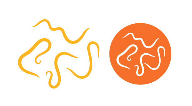 Worm intestinal parasite logo. Isolated parasite on white background EPS 10. Vector illustration nematode worm stock illustrations