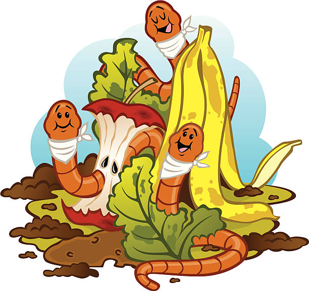 Worms Eating Compost (Vermicomposting) vector art illustration
