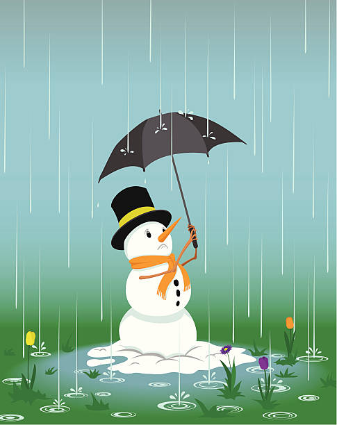 Worried Snowman in the Rain Worried snowman in the rain desperately trying to keep dry under an umbrella as spring flowers start to grow around him. Linear gradients and blends used only. Eps 8 melting snow man stock illustrations