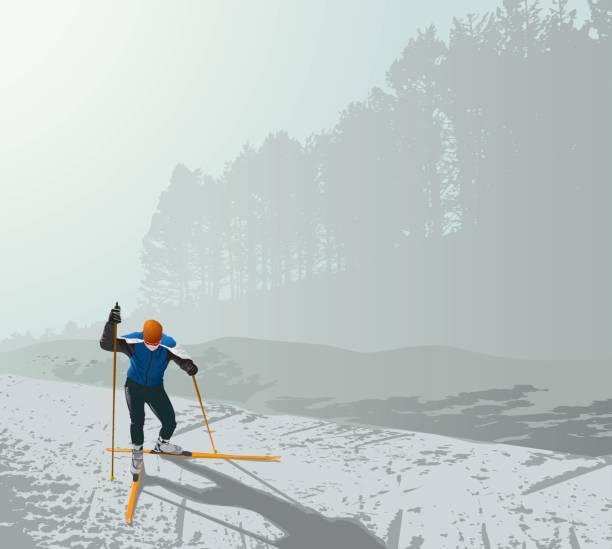 bildbanksillustrationer, clip art samt tecknat material och ikoner med xc-skidåkning - cross country skiing