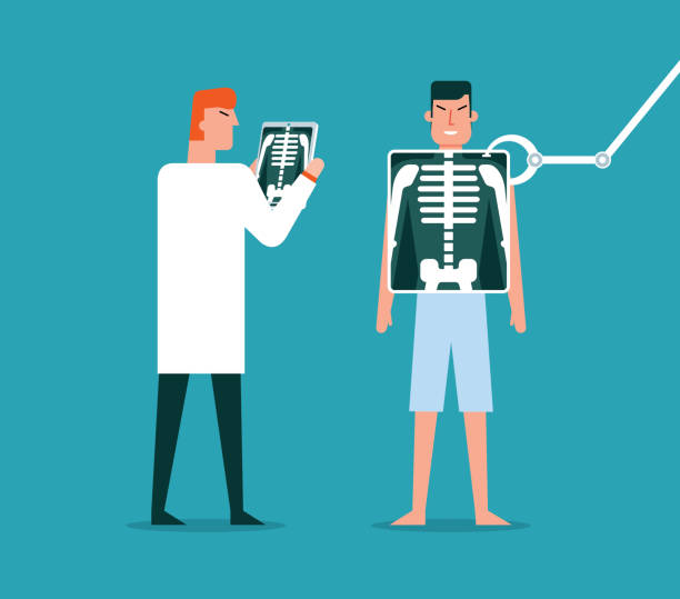 X-ray - Human Skeleton Doctor Showing X-ray Film stock illustration doctor borders stock illustrations