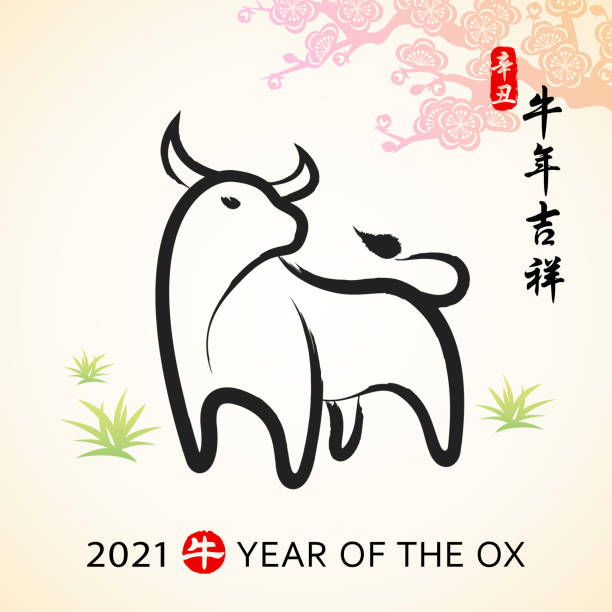 Celebrate the Year of the Ox 2021 with ox Chinese painting and red Chinese stamp, the vertical Chinese stamp means year of the ox according to lunar calendar and the vertical Chinese phrase means wish you luck in the Year of the Ox
