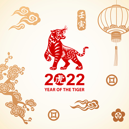 Celebrate the Year of the Tiger 2022 with red papercutting tiger on the background of gold colored Chinese stamp, cloud, lantern, flowers and money sign, the vertical Chinese phrase means year of the ox according to lunar calendar