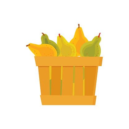 Yellow And Green Pears Stock Illustration - Download Image Now - iStock
