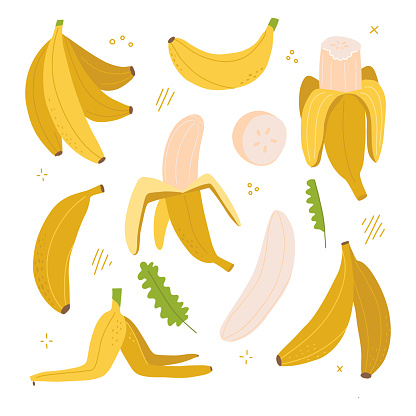 Yellow banana colorful set. Exotic, tropical fruit isolated on white background. Peeled and sliced and whole banana. Fresh vegetarian healthy food with vitamins. Flat vector hand drawn illustration.