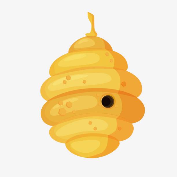 Yellow bee hive in cartoon style.Full of fresh honey Yellow bee hive in cartoon style. Full of fresh honey. Oval-ribbed with a round central entrance. Bee hive graphics on an isolated white background. drone clipart stock illustrations