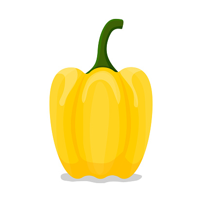Yellow bell pepper vector illustration on a white background