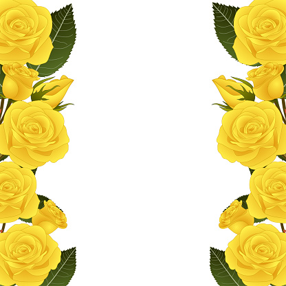 Yellow Rose Flower Border
