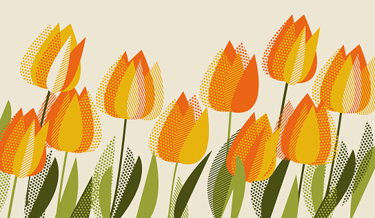 Yellow tulip spring floral design element.