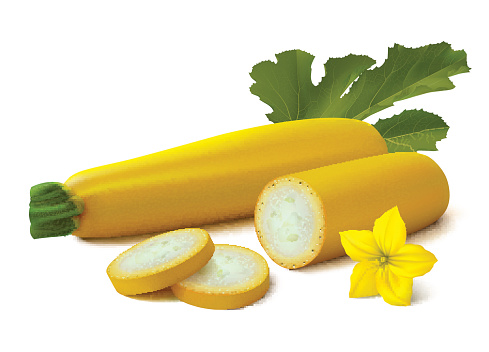 Yellow Vegetable Marrow On White Background Stock Illustration ...