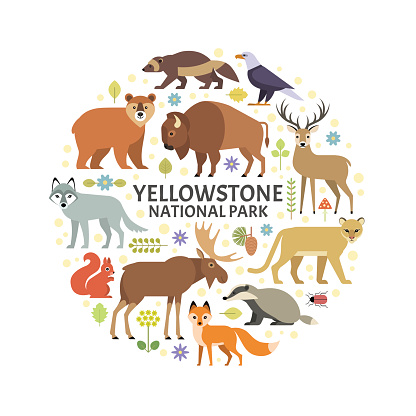 Yellowstone National Park Animals Refrigerator Fridge Magnet Hanging Clip 
