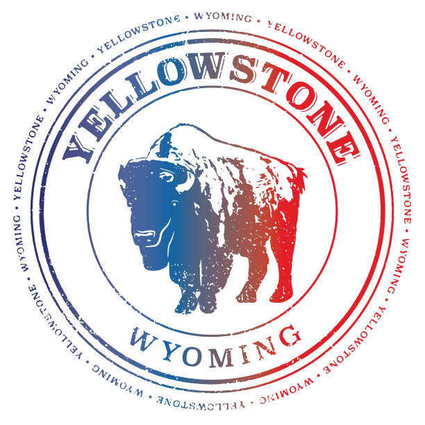 ilustrações, clipart, desenhos animados e ícones de selo de viagem retrô de yellowstone wyoming - buffalo