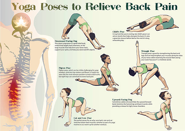 Yoga Poses to Relieve Back Pain A set of yoga postures female figures: sequence of physical exercises in the form of creative, visual poster to Relive Back Pain. benefits of exercise infographics stock illustrations