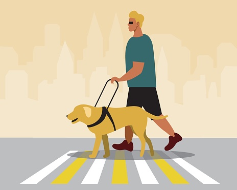 Young blind man with guide dog, flat vector stock illustration with guide dog day and visually impaired