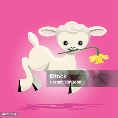 istock young lamb 469801541
