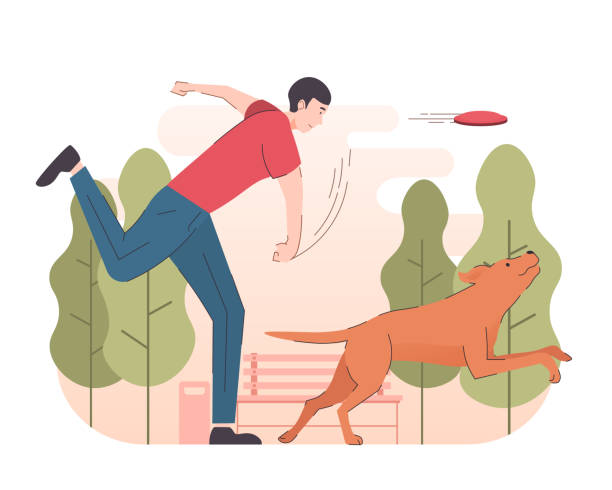 Young man playing with his dog, throwing the frisbee. People and pet activity People and pet flat cartoon illustration frisbee stock illustrations