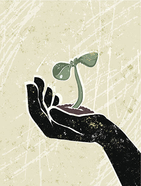 Young Seedling in a Protective Hand Growth! A stylized vector cartoon of a green shoot in a hand, reminiscent of an old screen print poster and suggesting hope, breakthrough,growth, new beginnings, recovery, rebirth, environmental issues or spring. Shoot,hand, paper texture, and background are on different layers for easy editing. Please note: clipping paths have been used, an eps version is included without the path. seed stock illustrations