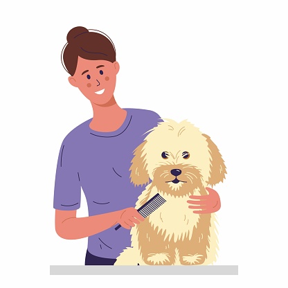 A young woman is combing a little dog