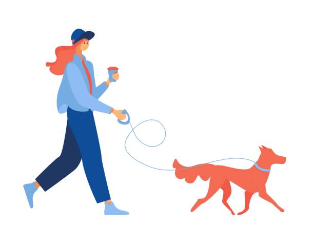 stockillustraties, clipart, cartoons en iconen met jonge vrouw met koffie wandelen met gember hond. geïsoleerd op witte achtergrond over liefde voor huisdieren - walking with coffee