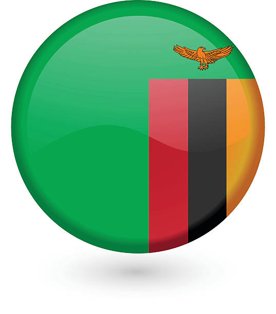 Zambia flag vector button vector art illustration