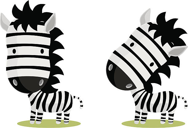 zebra vector art illustration