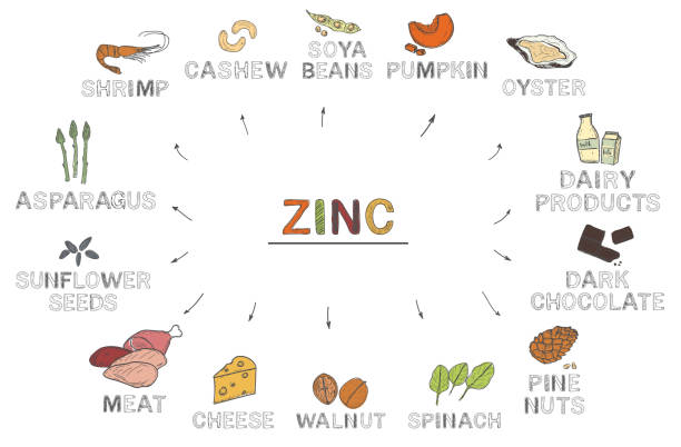 Foods rich in zinc
