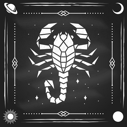 Zodiac astrology horoscope sign scorpio design. Vector illustration. Elegant modern symbol or icon of scorpio esoteric zodiacal horoscope templates for logo or poster isolated on the chalkboard.