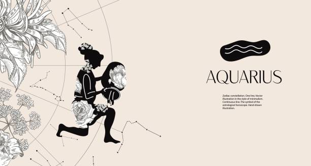 Zodiac sign Aquarius. Black silhouette with white flowers. Horizontal background Zodiac sign Aquarius. Black silhouette  with white flowers. Horizontal background with zodiac constellations. Template for postcard, brochure, page, booklet. aquarius astrology sign stock illustrations