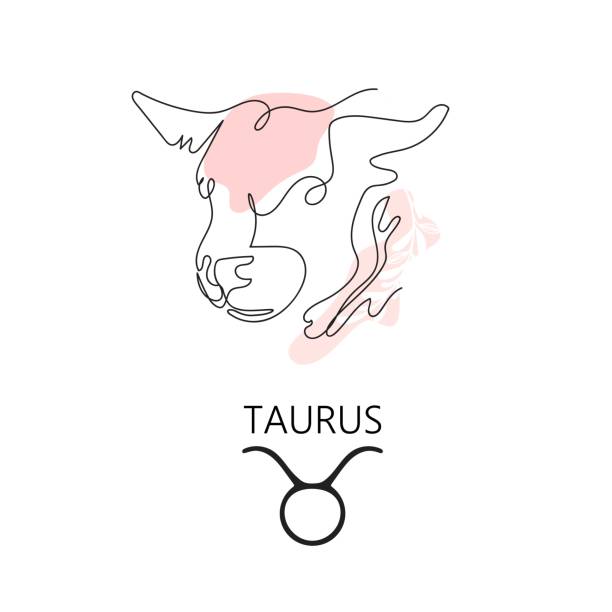 Zodiac sign Taurus. One line. Vector illustration in the style of minimalism. Zodiac sign Taurus. One line. Vector illustration in the style of minimalism. Continuous line.The symbol of the astrological horoscope. Hand-drawn illustration. drawing of the bull head tattoo designs stock illustrations