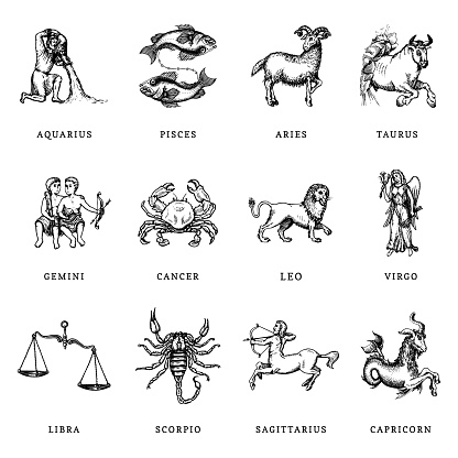 Zodiac Symbols Set Hand Drawn In Engraving Style Vector Graphic Retro ...