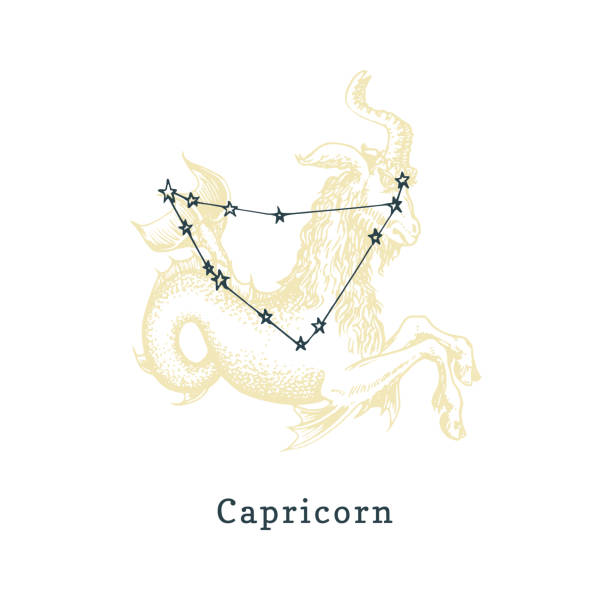 Zodiacal constellation of Capricorn on background of drawn symbol in engraving style. Vector illustration of Sea Goat. Zodiacal constellation of Capricorn on background of hand drawn symbol in engraving style. Vector retro graphic illustration of astrological sign Sea Goat. capricorn stock illustrations
