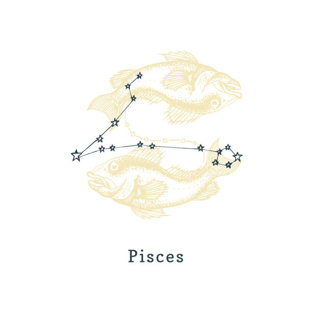 Zodiacal constellation of Pisces on background of drawn symbol in engraving style. Vector illustration of sign Fishes. Zodiacal constellation of Pisces on background of hand drawn symbol in engraving style. Vector retro graphic illustration of astrological sign Fishes. pisces stock illustrations