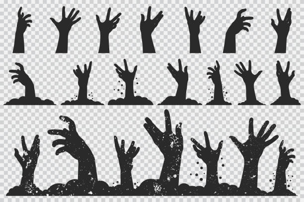 ilustrações de stock, clip art, desenhos animados e ícones de zombie hands black silhouette. vector halloween icons set isolated on a transparent background. - horror