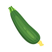 istock zucchiny isolated on white background, vector illustration 1254768204