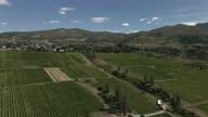 istock Aerial footage of vineyard in Kelowna 1313119093