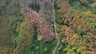 istock Aerial view of Winding road in the forest on mountain with sunrise 1385990697