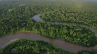 istock Aerial view over a tropical forest with a river meandering through the canopy 1315275496