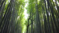 istock Arashiyama Bamboo Forest in Kyoto, Japan 1278796407