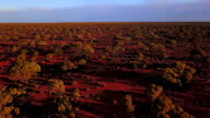 istock Australian Outback Sunset Treescape 1317131157