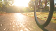 istock Autumnal Bike Trail Ride at Sunrise 1280069518