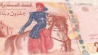 istock Banknotes of the Tunisian Dinar Observe and Reserve Side Close up of a Tracking Dolly Shot Tunisian Dinar Banknotes 4k Resolution stock video 1424677492