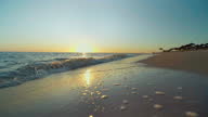 istock Beautiful scene sunset, tropical beach sea 1371804113
